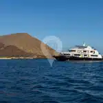 Petrel-Galapagos-Catamaran2