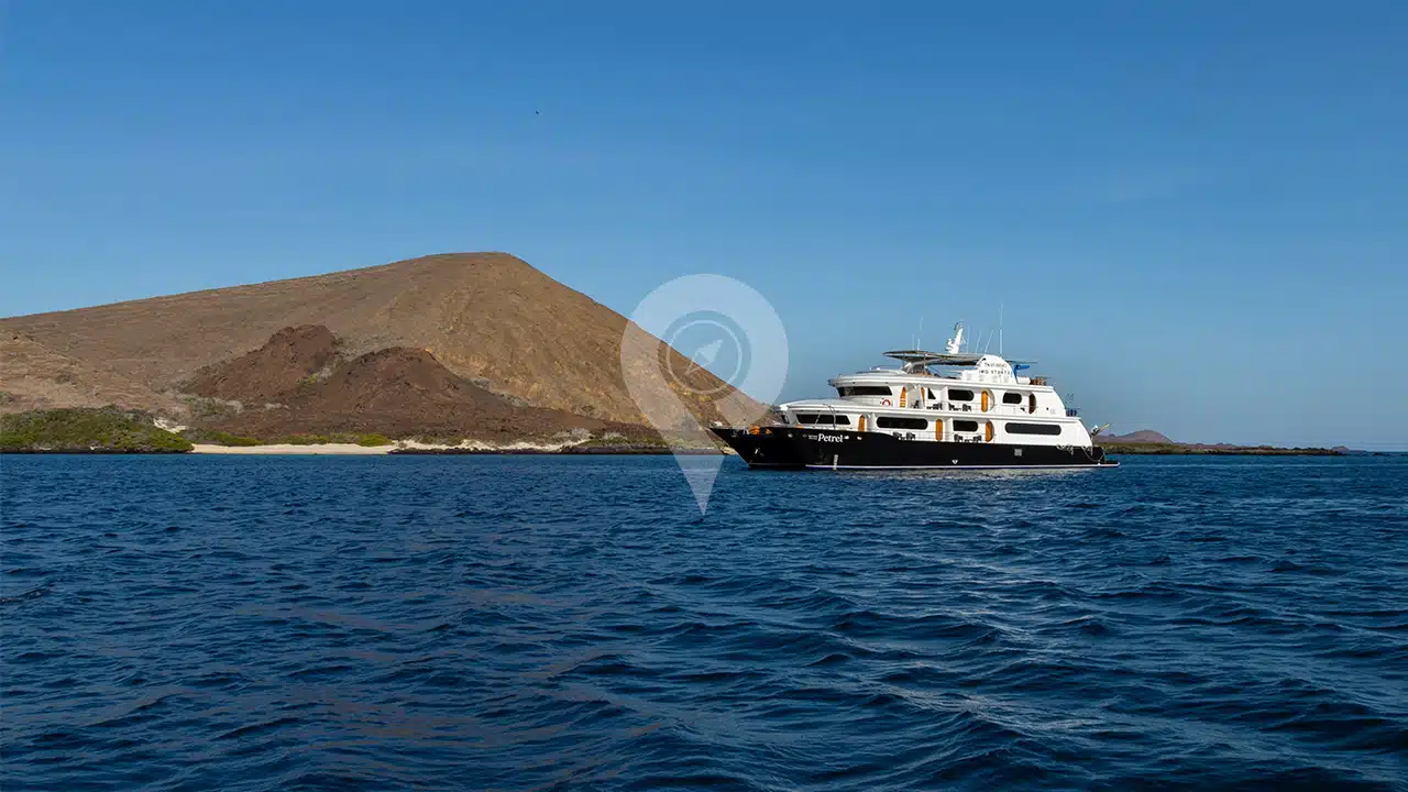 Petrel-Galapagos-Catamaran2