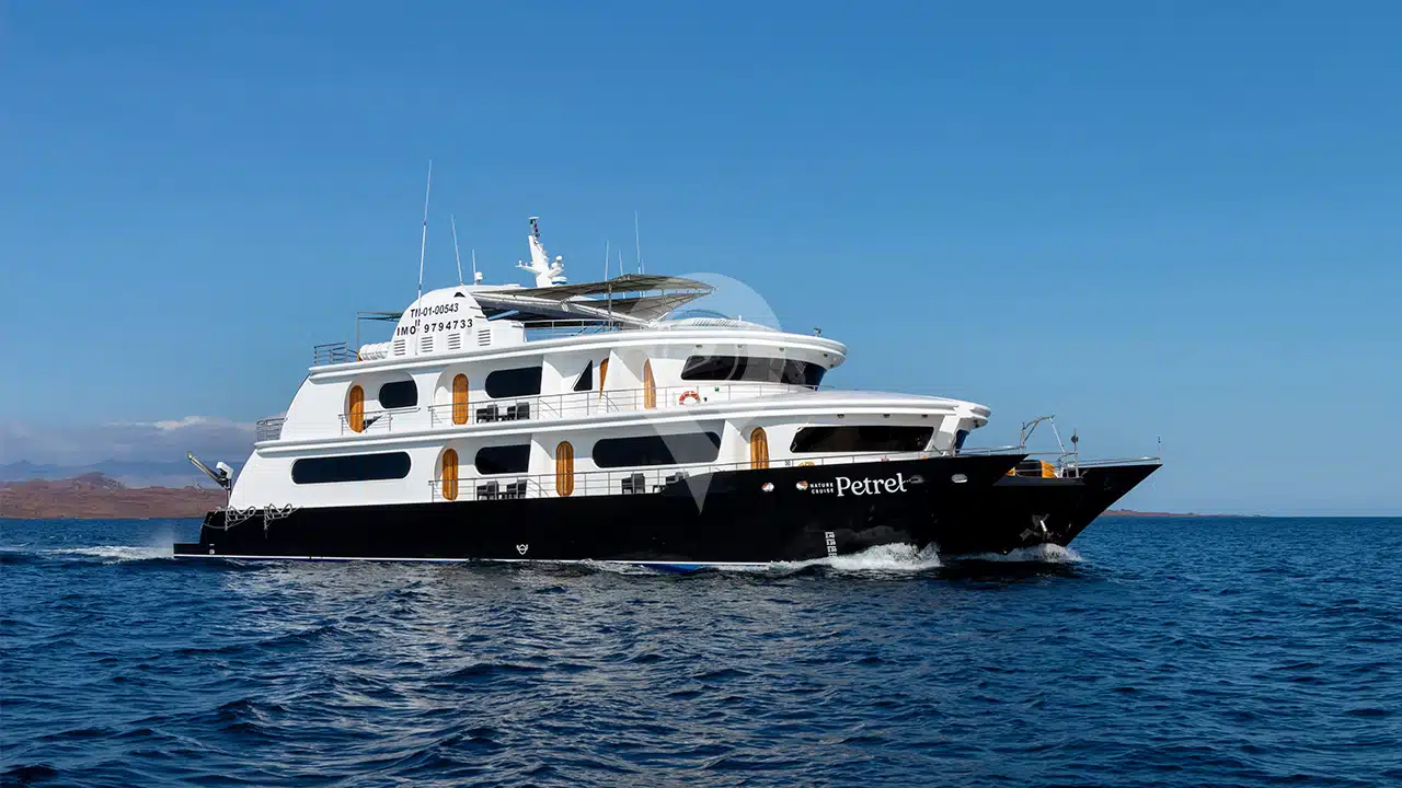 Petrel-Galapagos-Catamaran3