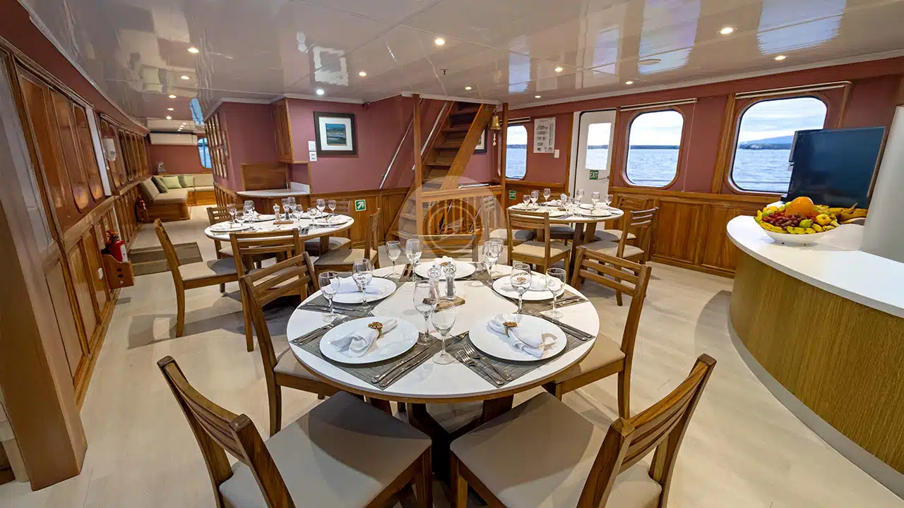 Tip-Top-4-Galapagos-Yacht-dining-area