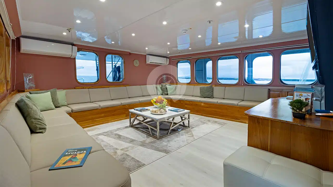 Tip-Top-4-Galapagos-Yacht-lounge