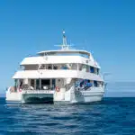Treasure-of-Galapagos-Catamaran-2