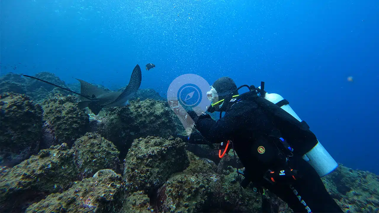 Galaxy-Diver-II-diving-2