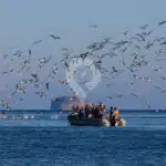 Hermes-Galapagos-Catamaran-panga-ride