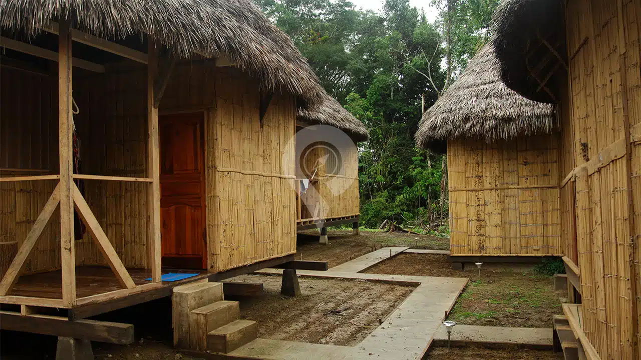 Amazon-Dolphin-Lodge-1