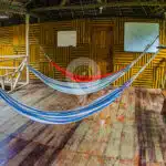 Amazon-Dolphin-Lodge-2