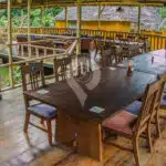 Amazon-Dolphin-Lodge-3