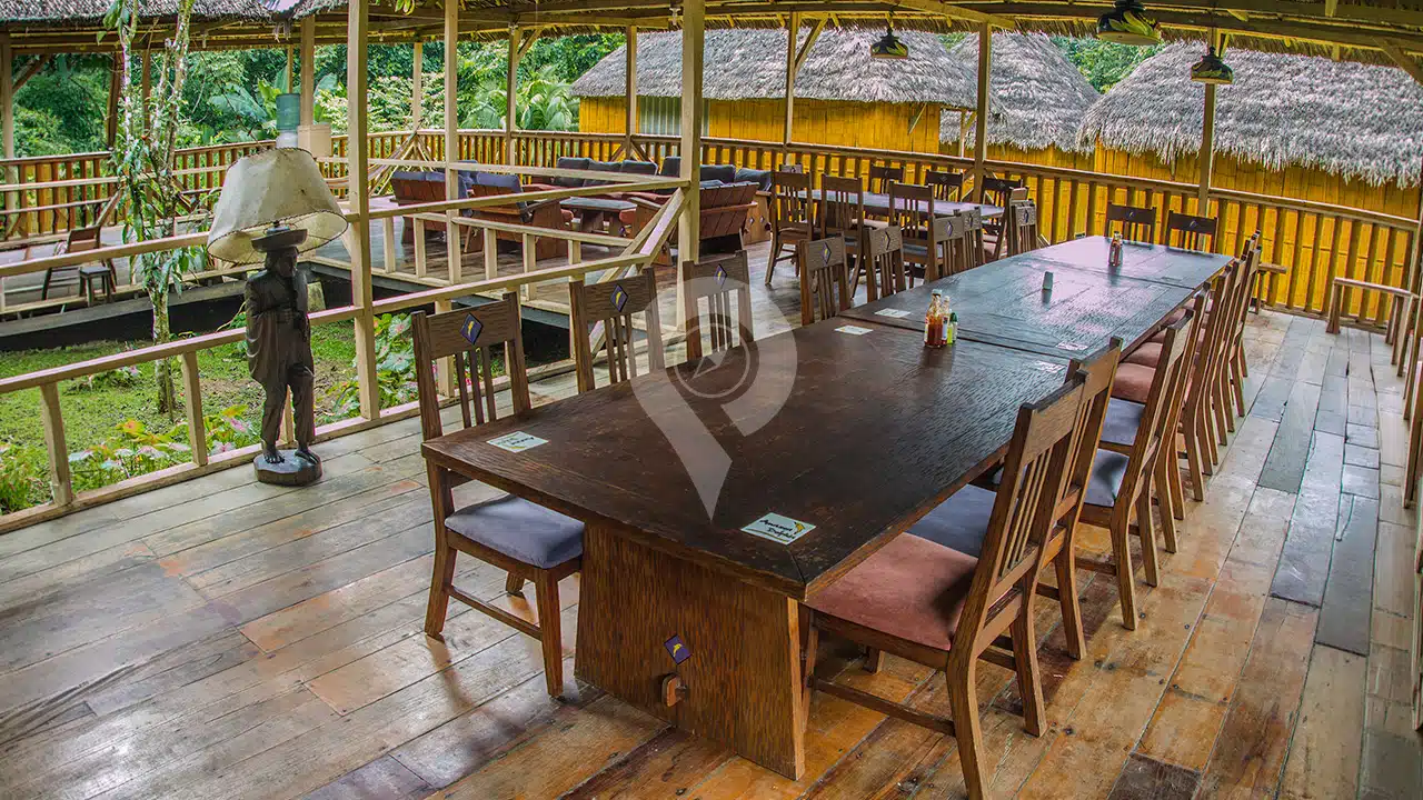 Amazon-Dolphin-Lodge-3