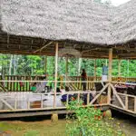 Amazon-Dolphin-Lodge-6