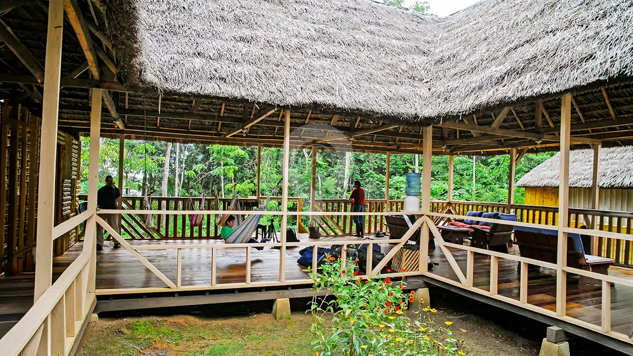 Amazon-Dolphin-Lodge-6