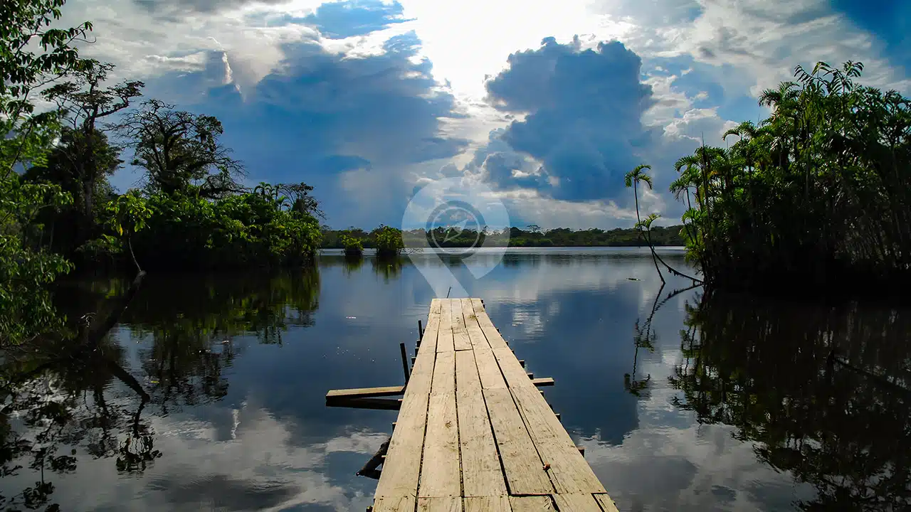 Amazon-Dolphin-Lodge-7