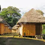 Amazon-Dolphin-Lodge-8