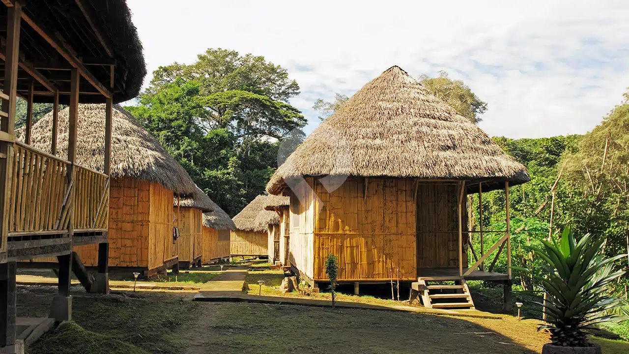 Amazon-Dolphin-Lodge-8