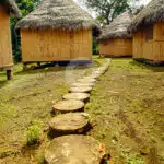 Amazon-Dolphin-Lodge-9