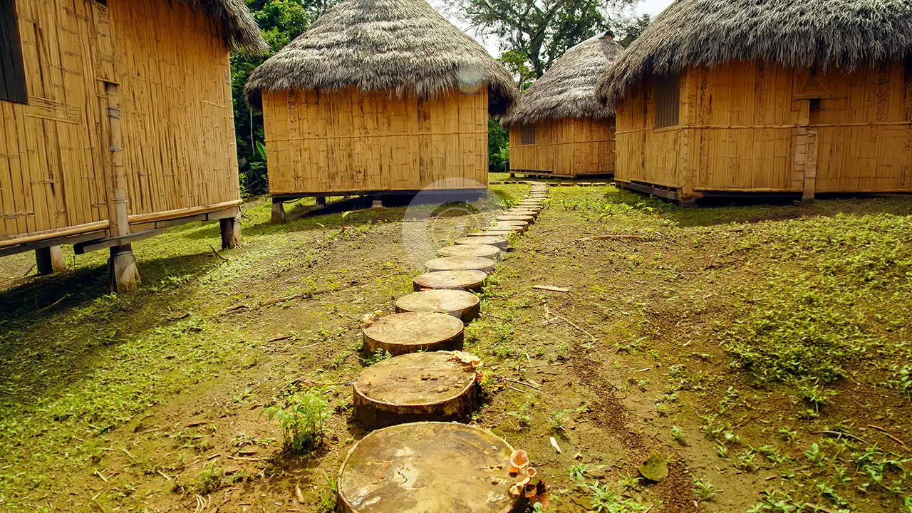 Amazon-Dolphin-Lodge-9