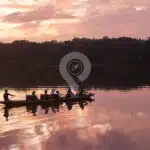 Napo-Wildlife-Center-activities-01