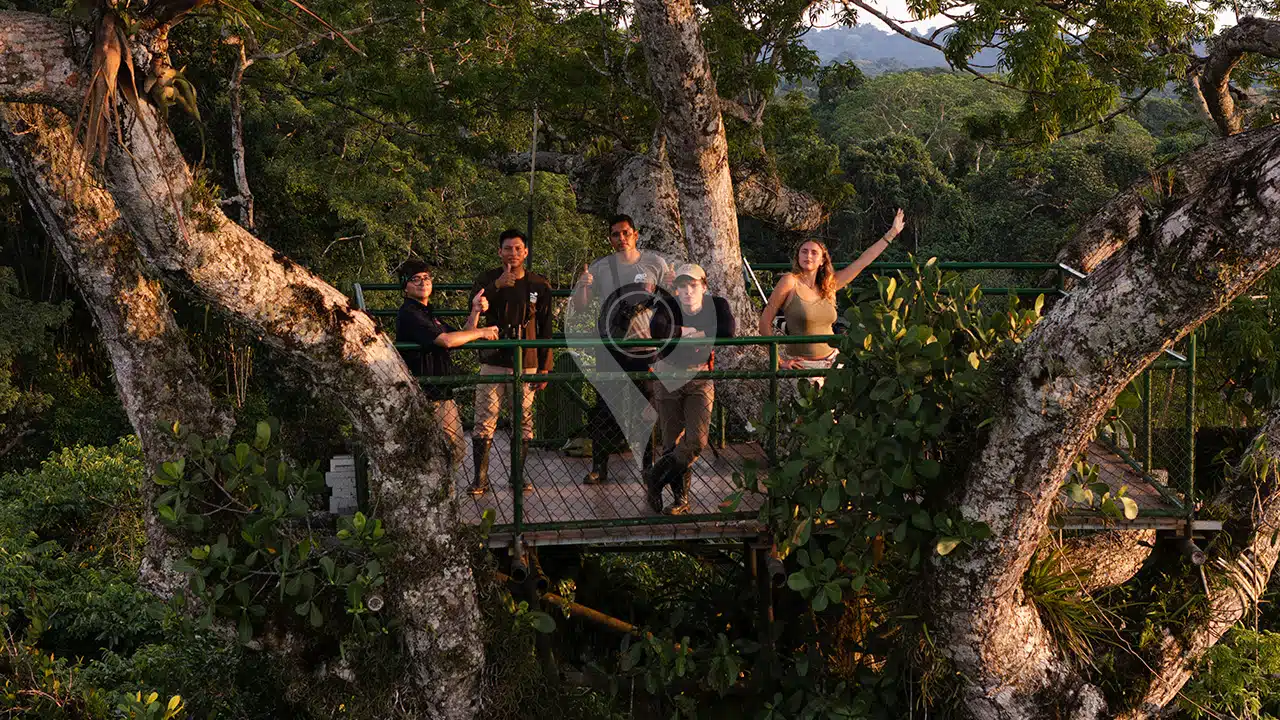 Napo-Wildlife-Center-activities-02