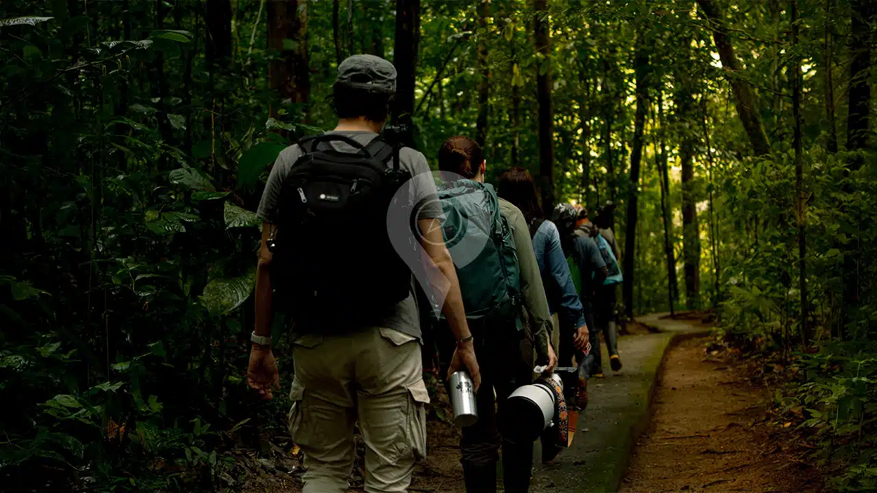 Napo-Wildlife-Center-activities-07