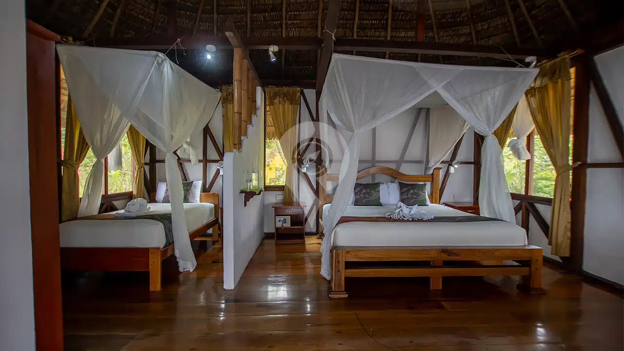 Napo-Wildlife-Center-triple-room