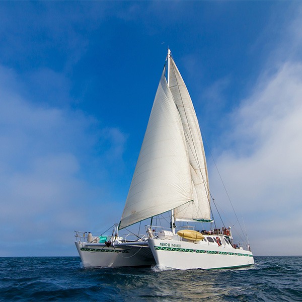 crucero-a-vela-p1