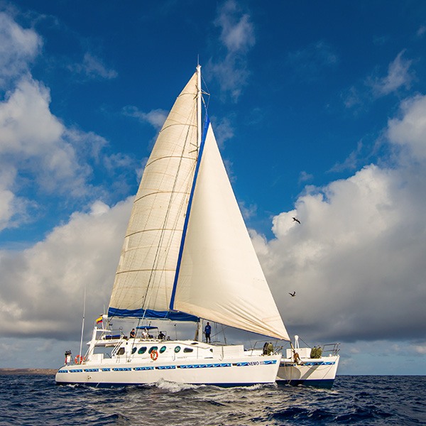 crucero-a-vela-p2