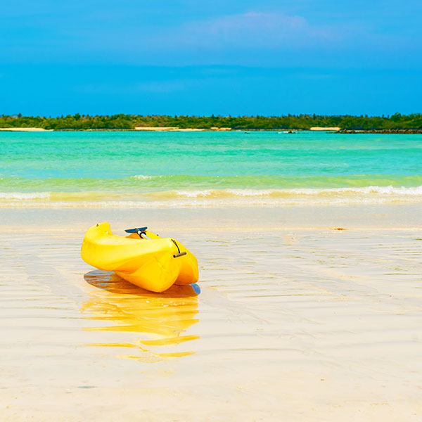 galapagos-cruise-packages-q1