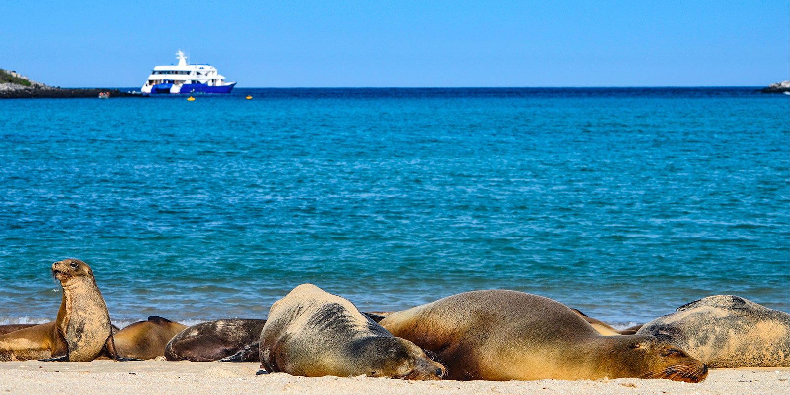Galapagos cruise packages