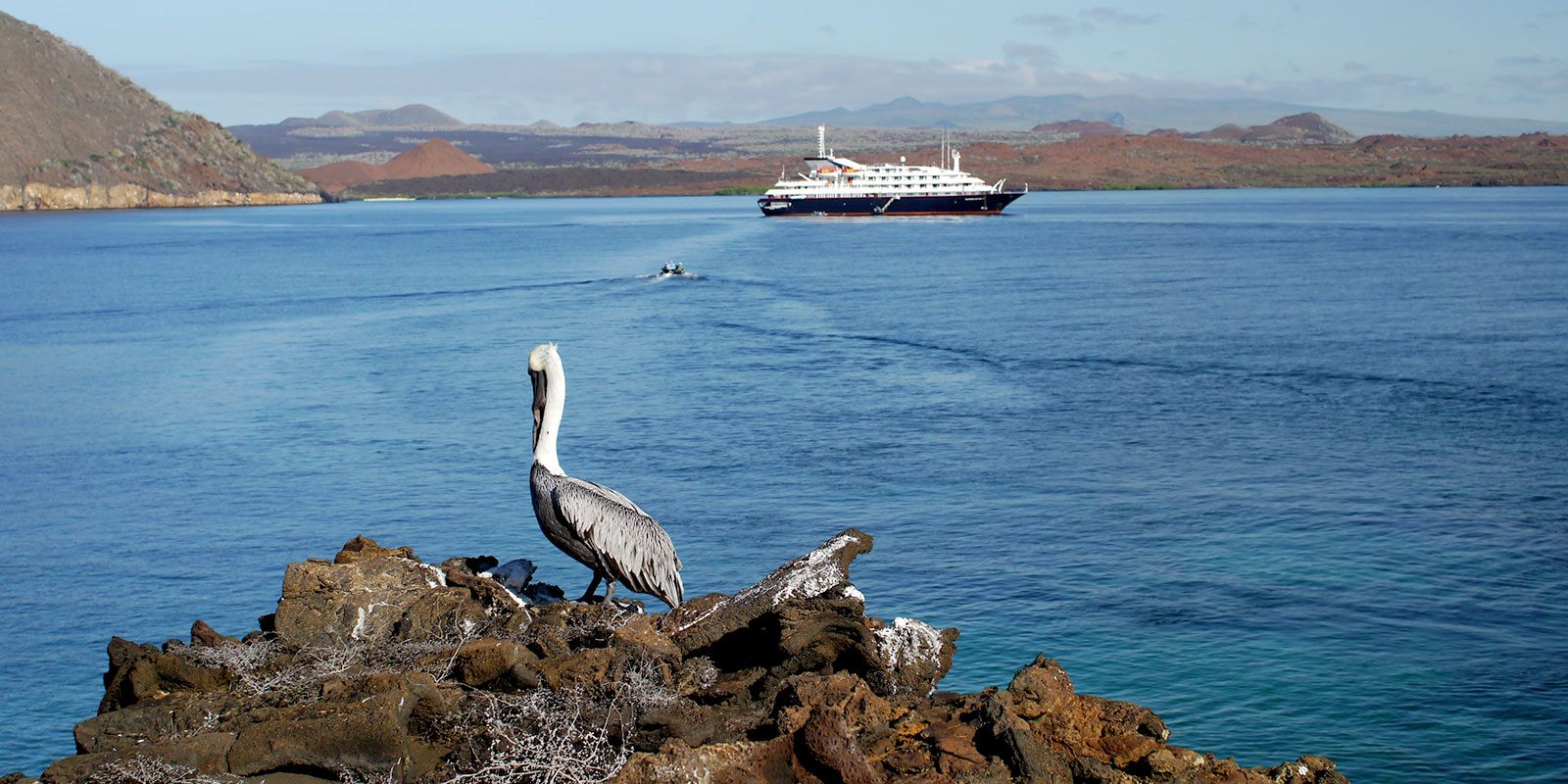 Galapagos Cruises for Travel Agencies