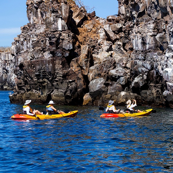 kayaks-q1