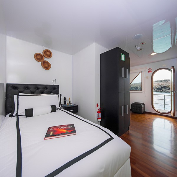 single-cabin-q2