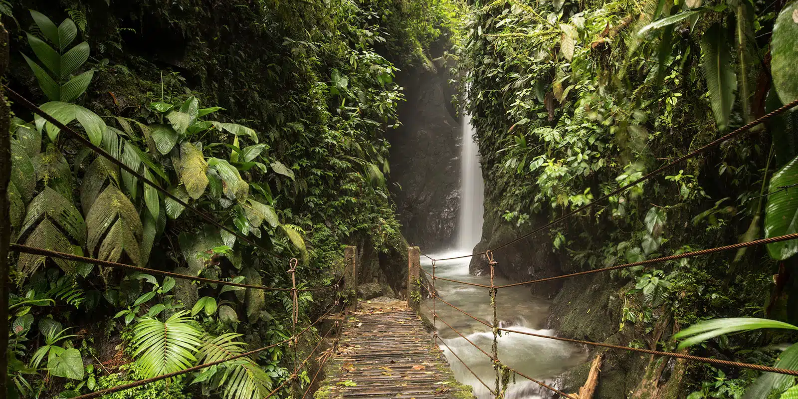 Bosque Nuboso Ecuador