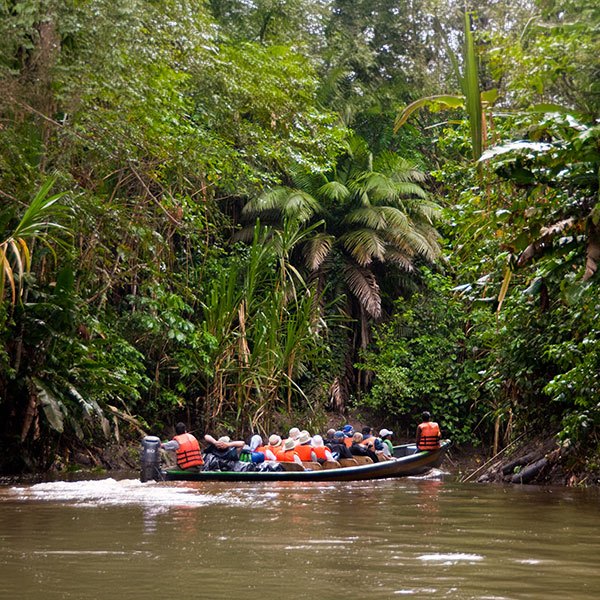 amazon-rainforest-cruises-ecuador-q1