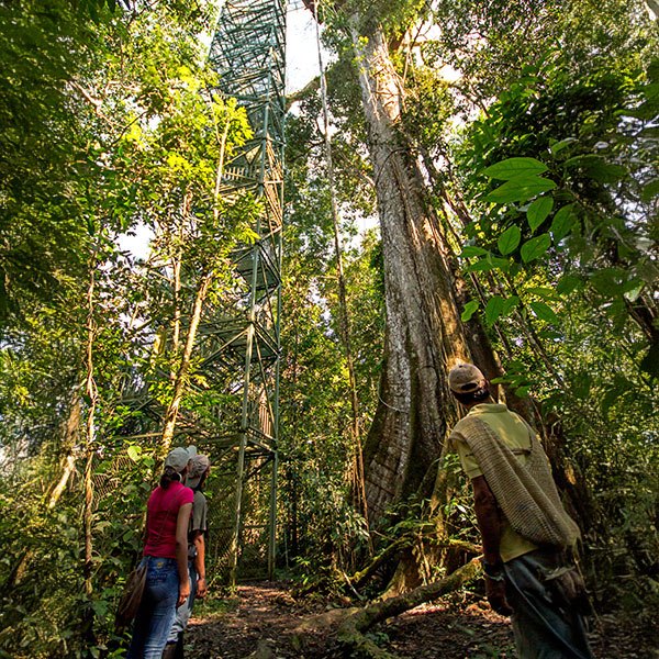 amazon-rainforest-lodges-high-fitness-q2