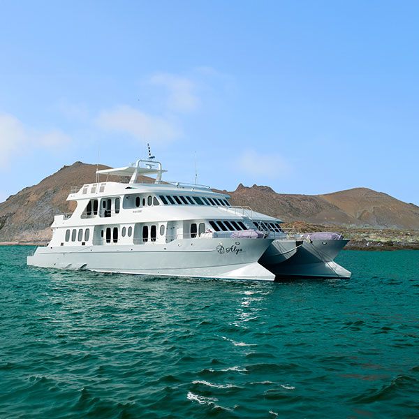 catamarans-q2