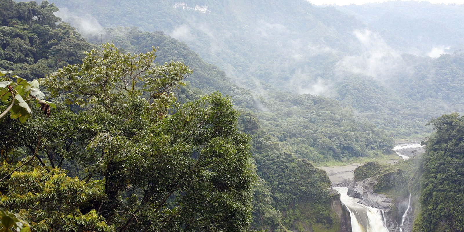 Cloud Forest 1 to 3 Days