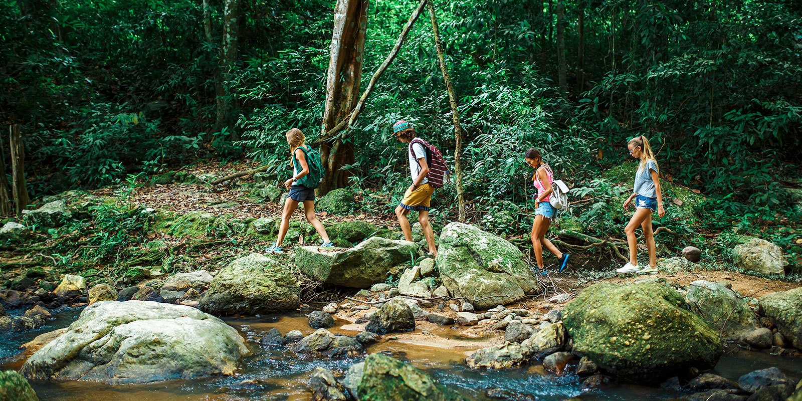 Ecuador Nature Tours