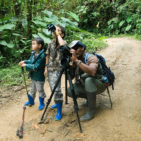 first-class-cloud-forest-q2