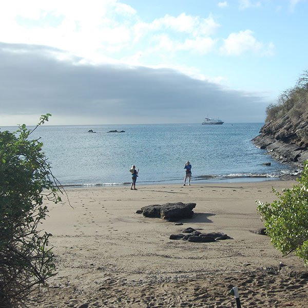 galapagos-7-days-over-q1