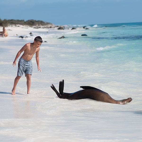 galapagos-cruises-400-to-599-q2