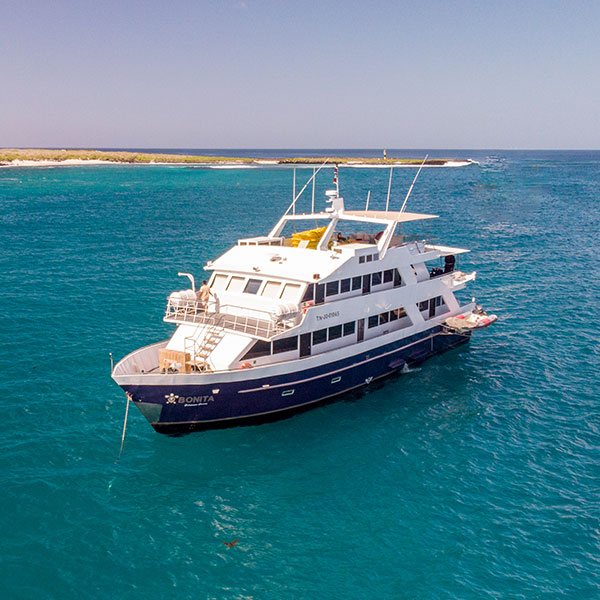 galapagos-cruises-under-399-q2