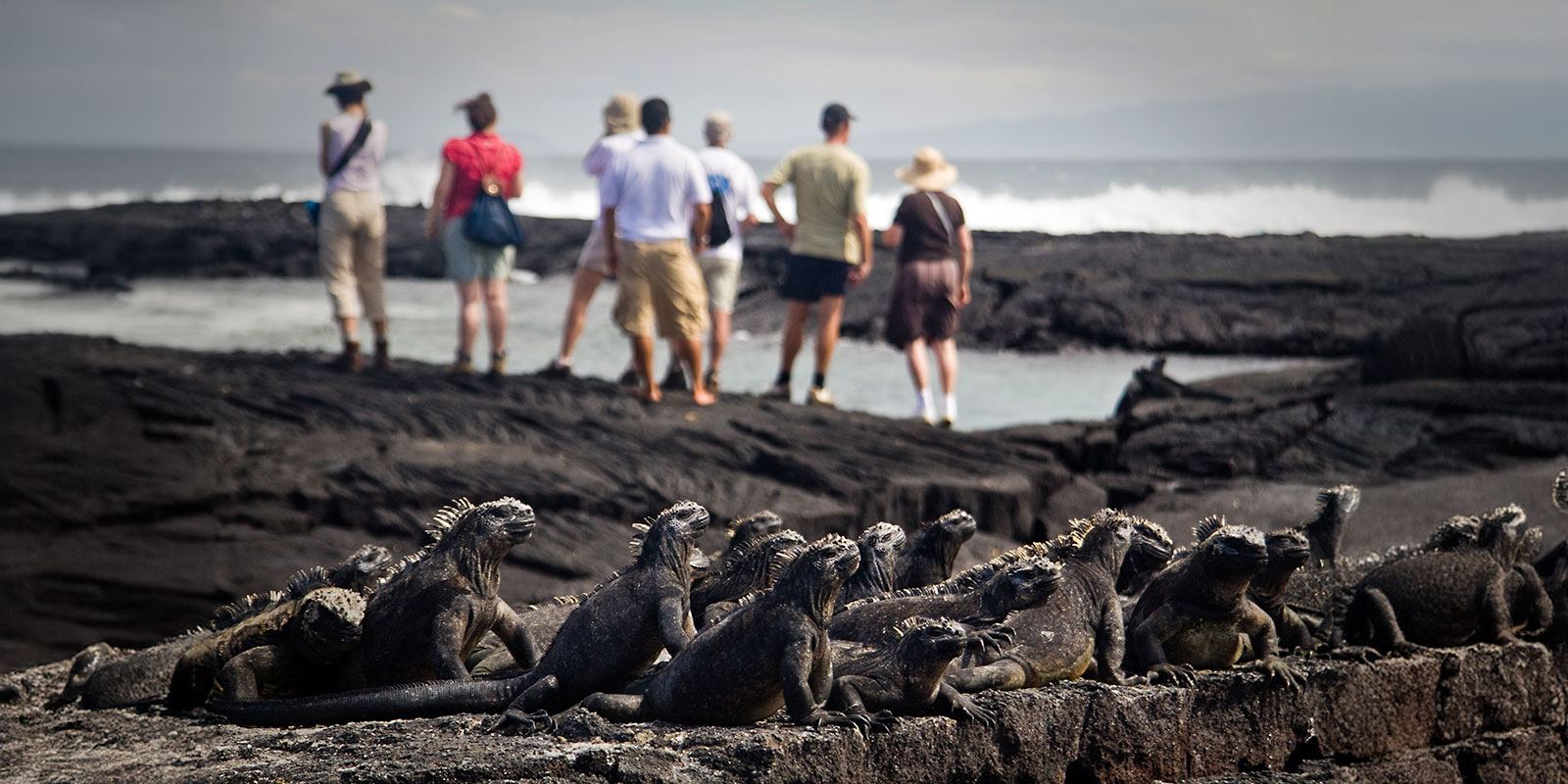 Galapagos Island Hopping