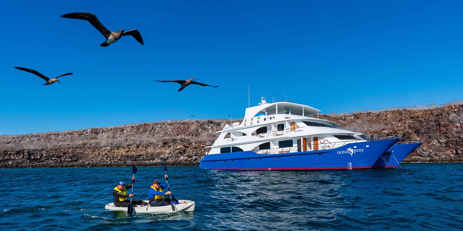 Luxury Galapagos Cruises