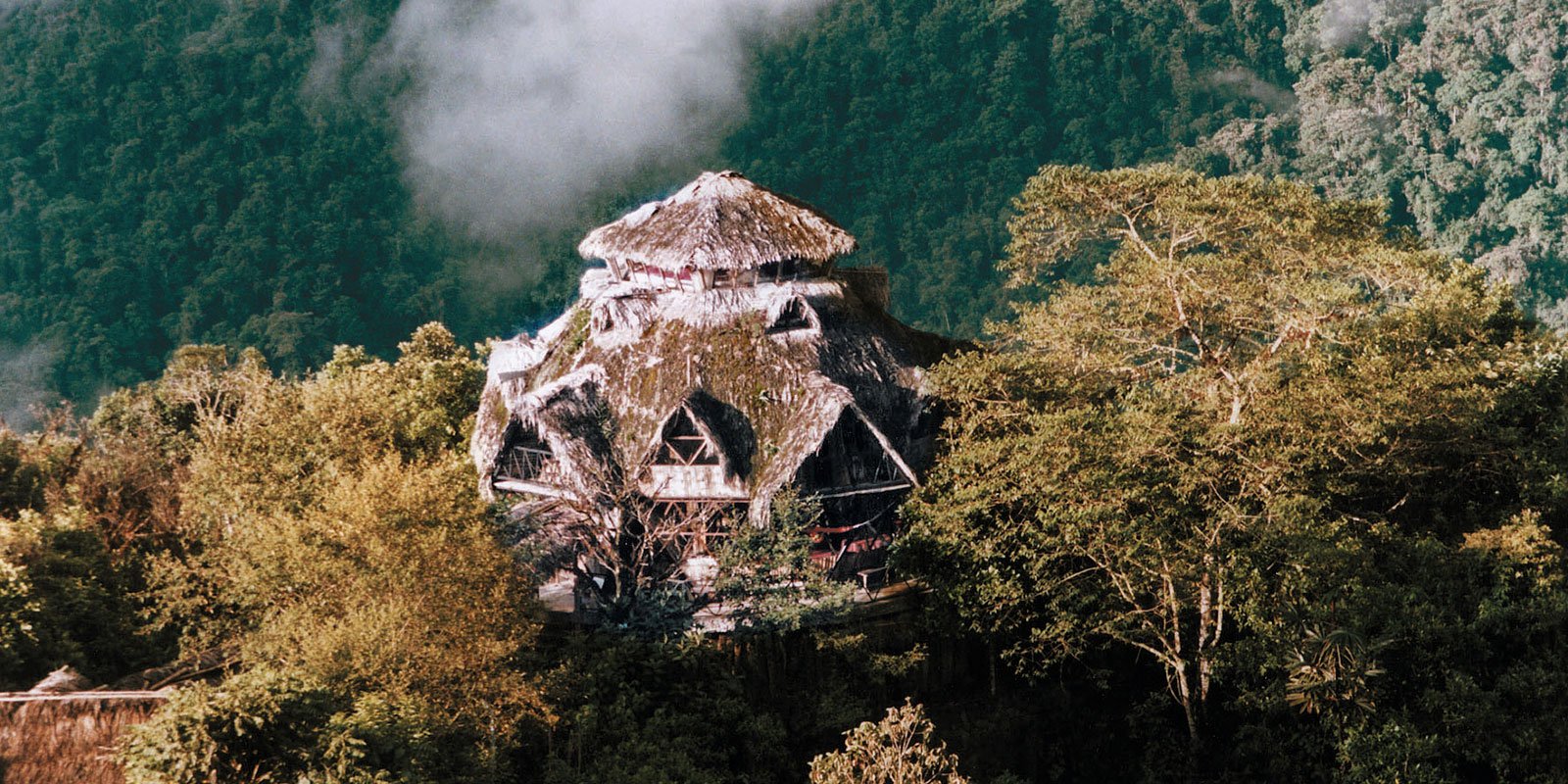 Superior Cloud Forest