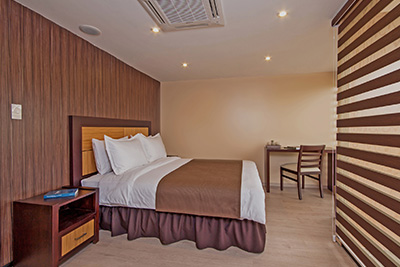 DLX Queen Room
