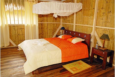 Single Bungalow