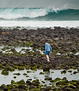 Introduction | 8-Day Galapagos Land Adventure