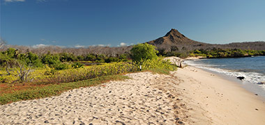 Garrapatero Beach Garrapatero Beach