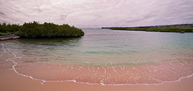 Punta Estrada