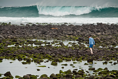 8-Day Galapagos Land Adventure