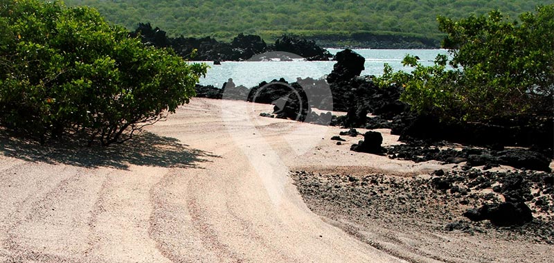 Bahía Urbina